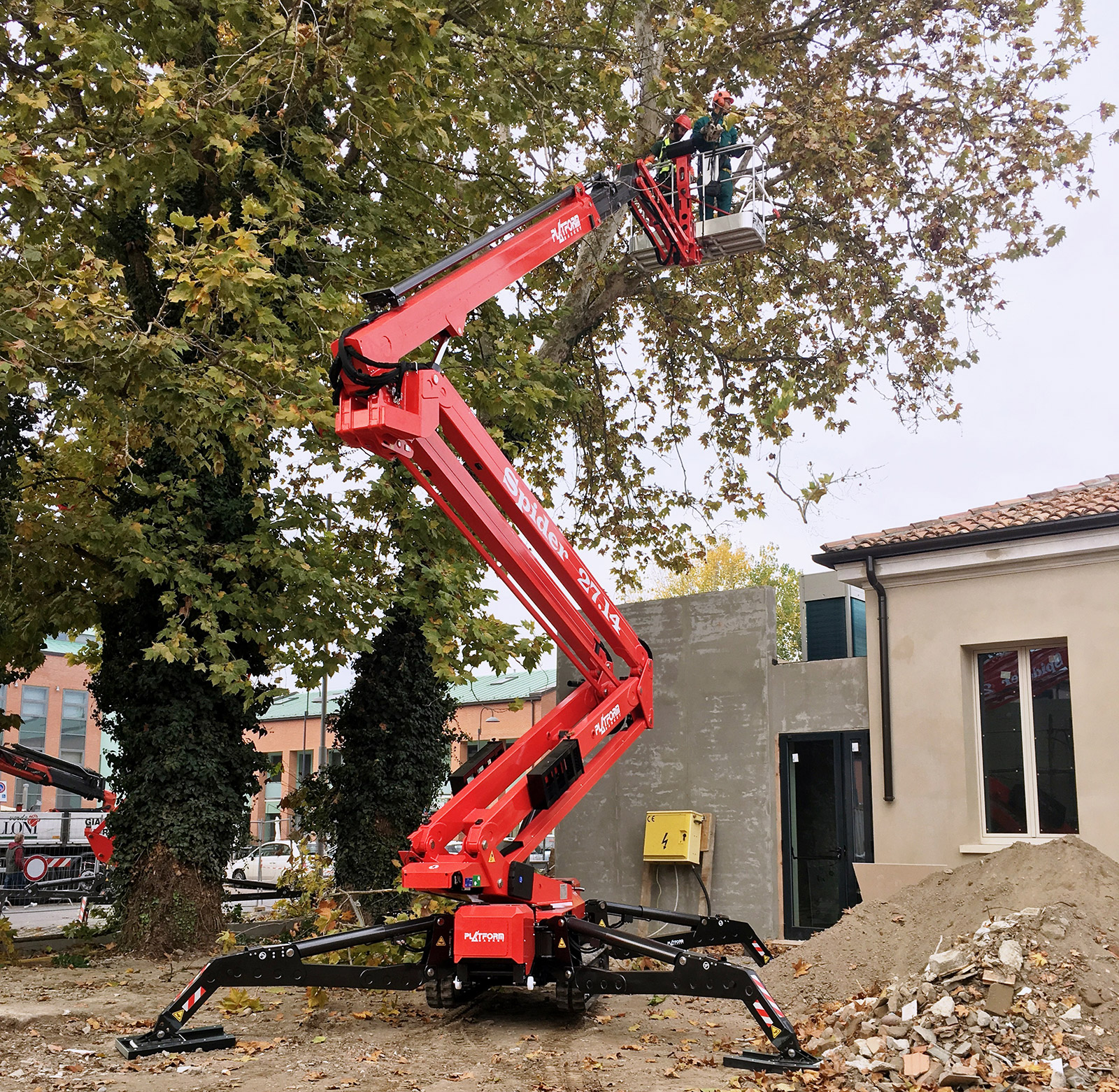 Tree Care